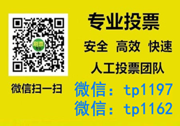 凉山彝族自治州微信手动投票费多少钱让我告诉你微信投了多少